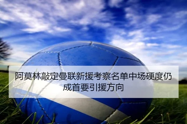阿莫林敲定曼联新援考察名单中场硬度仍成首要引援方向
